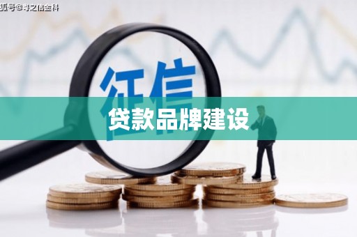 天元贷款品牌建设