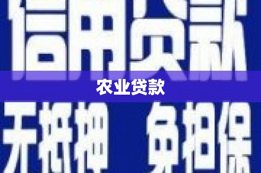 杂多农业贷款