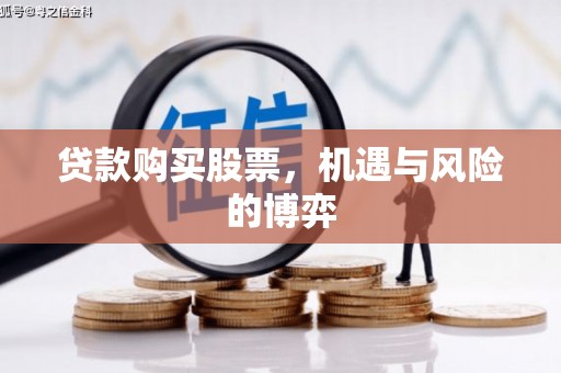 陆丰贷款购买股票，机遇与风险的博弈