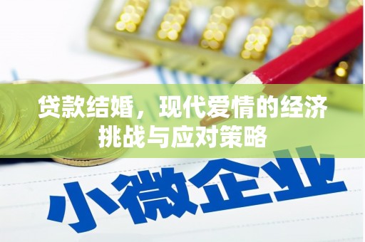 溆浦贷款结婚，现代爱情的经济挑战与应对策略