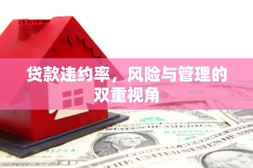 玉树贷款违约率，风险与管理的双重视角