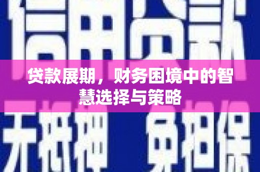 宁晋贷款展期，财务困境中的智慧选择与策略