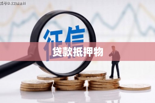 王益贷款抵押物