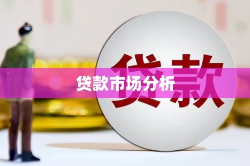 泰顺贷款市场分析