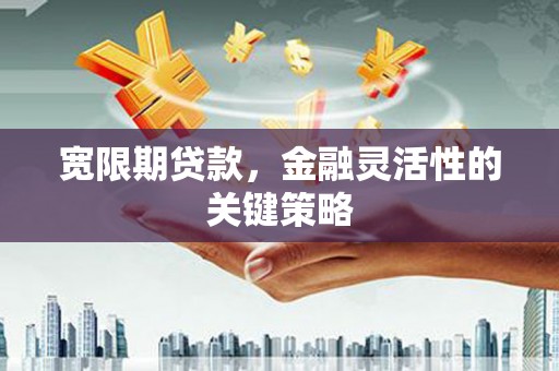 保税港区宽限期贷款，金融灵活性的关键策略