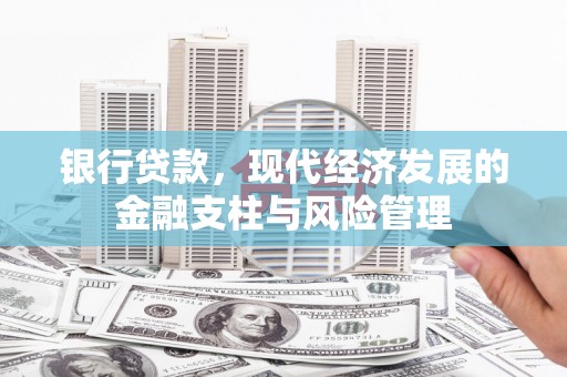 宁乡银行贷款，现代经济发展的金融支柱与风险管理