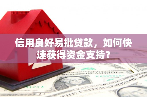 芦淞信用良好易批贷款，如何快速获得资金支持？