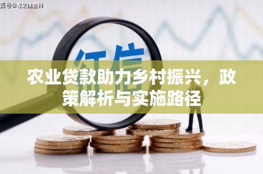 济宁农业贷款助力乡村振兴，政策解析与实施路径