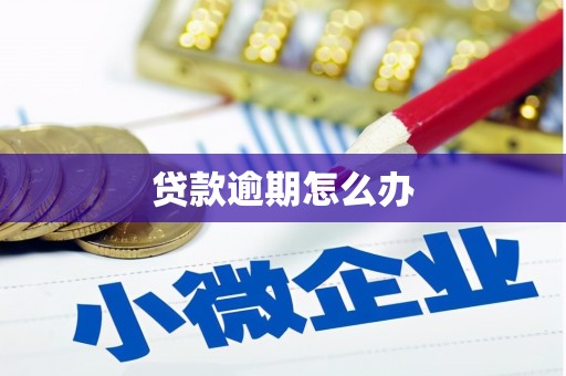 张掖贷款逾期怎么办