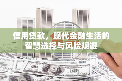 苓雅信用贷款，现代金融生活的智慧选择与风险规避