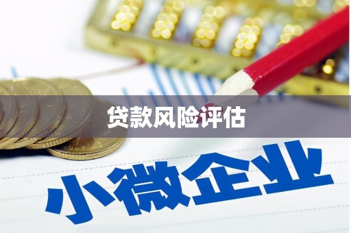 文昌贷款风险评估
