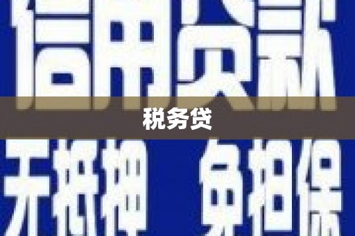 郴州税务贷