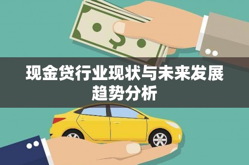 大丰现金贷行业现状与未来发展趋势分析