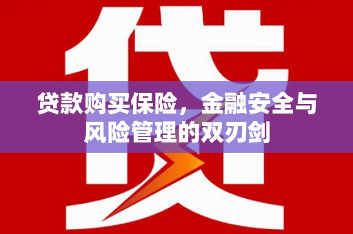 郴州贷款购买保险，金融安全与风险管理的双刃剑