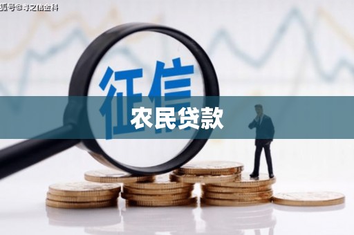 昭化农民贷款
