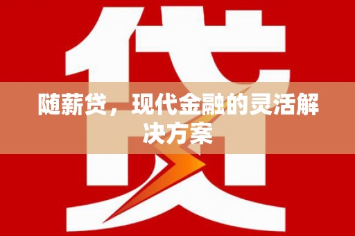 宣汉随薪贷，现代金融的灵活解决方案