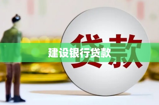 贞丰建设银行贷款