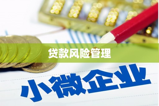 耒阳贷款风险管理