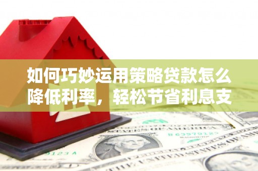 邵阳如何巧妙运用策略贷款怎么降低利率，轻松节省利息支出