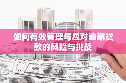 乌拉特中旗如何有效管理与应对逾期贷款的风险与挑战