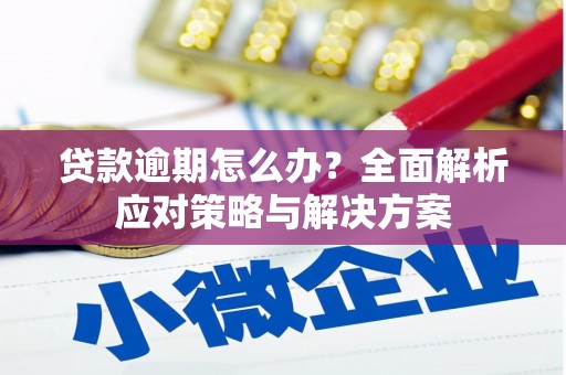 贵定贷款逾期怎么办？全面解析应对策略与解决方案