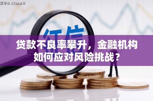 玉田贷款不良率攀升，金融机构如何应对风险挑战？