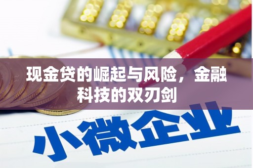 洪雅现金贷的崛起与风险，金融科技的双刃剑