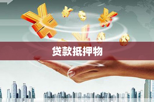 日喀则贷款抵押物