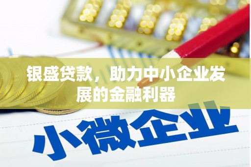 嵩县银盛贷款，助力中小企业发展的金融利器