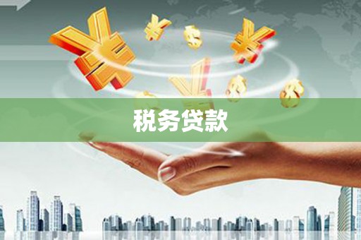 水林税务贷款