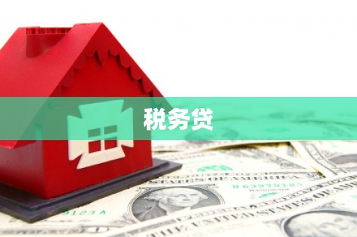 旗津税务贷