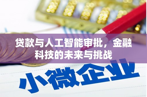 花溪贷款与人工智能审批，金融科技的未来与挑战