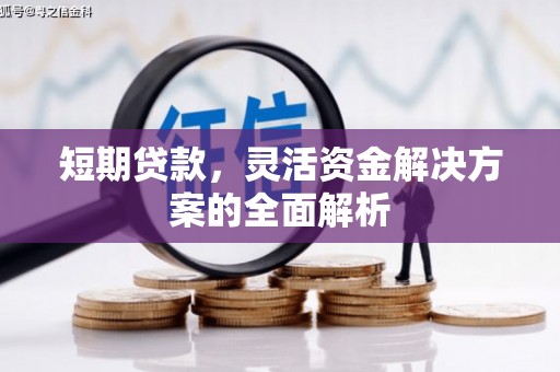 上林短期贷款，灵活资金解决方案的全面解析