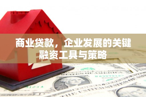 南涧商业贷款，企业发展的关键融资工具与策略