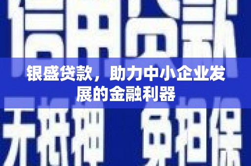 任城银盛贷款，助力中小企业发展的金融利器