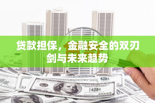 江西贷款担保，金融安全的双刃剑与未来趋势