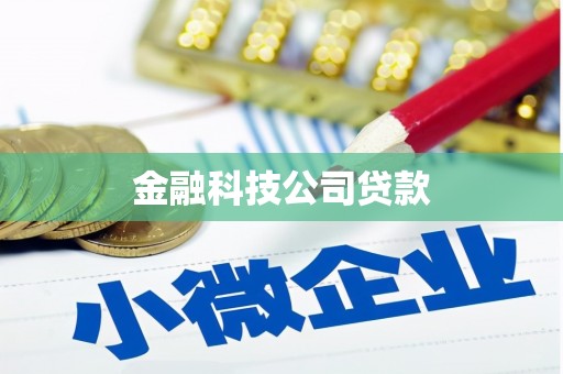 靖西金融科技公司贷款