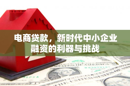 甘南电商贷款，新时代中小企业融资的利器与挑战