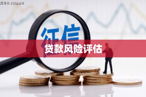 喜德贷款风险评估