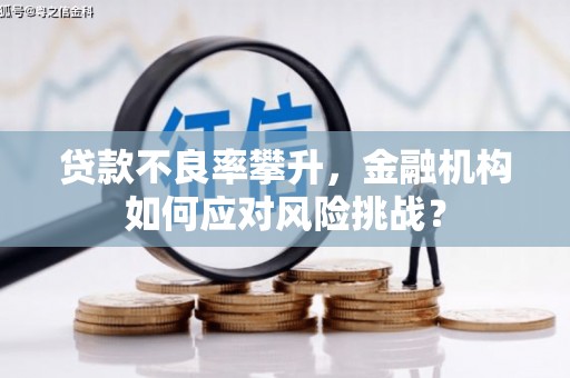 尖扎贷款不良率攀升，金融机构如何应对风险挑战？