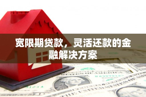 成武宽限期贷款，灵活还款的金融解决方案