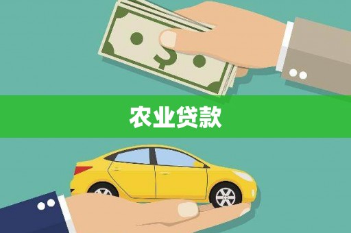宝应农业贷款
