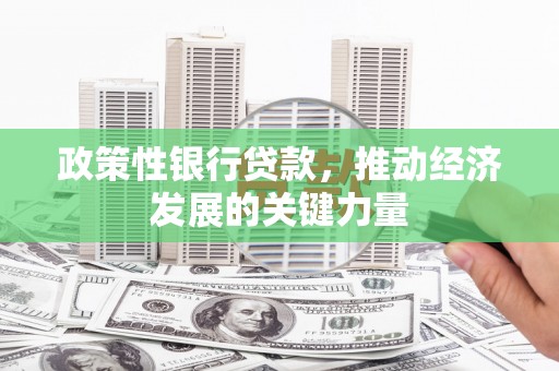 天津政策性银行贷款，推动经济发展的关键力量