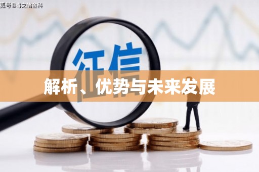 顺城解析、优势与未来发展