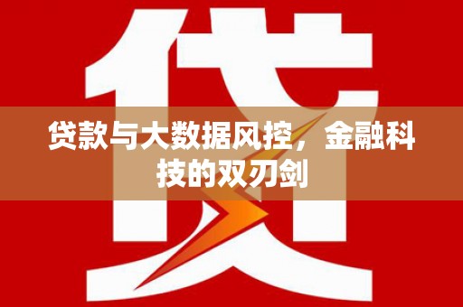 盐埕贷款与大数据风控，金融科技的双刃剑