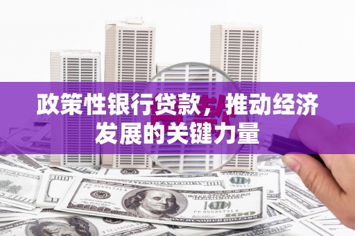 永寿政策性银行贷款，推动经济发展的关键力量