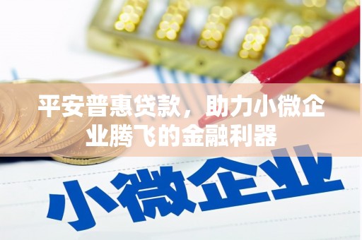 隆回平安普惠贷款，助力小微企业腾飞的金融利器
