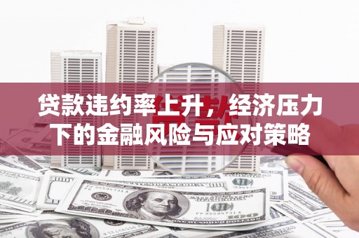 雨城贷款违约率上升，经济压力下的金融风险与应对策略