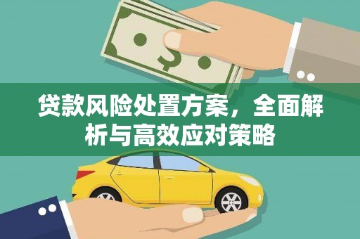 婺城贷款风险处置方案，全面解析与高效应对策略