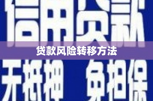 柳东贷款风险转移方法